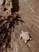 Mrs Ertha Beach Toys | Silicone Earth Tones