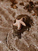 Mrs Ertha Beach Toys | Silicone Earth Tones