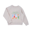 Grey Sweatshirt & Shorts Set