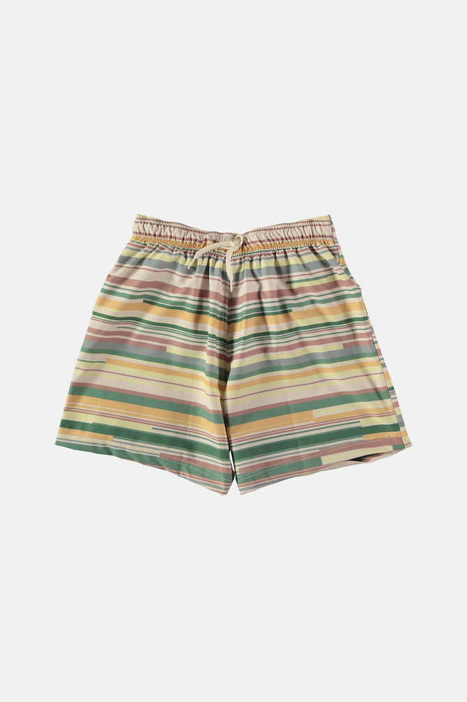 Multi Stripe Swim Shorts