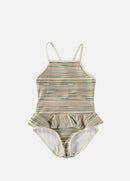 Multi Stripe Swimsuit