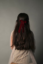 Long Ribbon Velvet Hair Clip